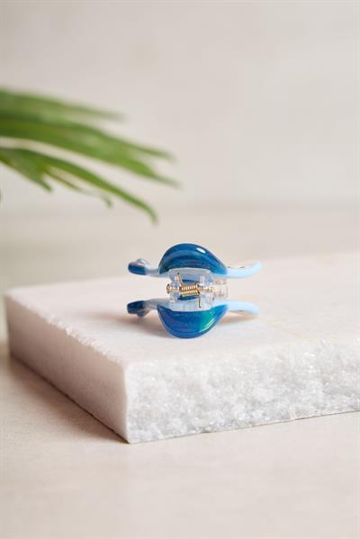 Mini Sardunya Kemik Toka