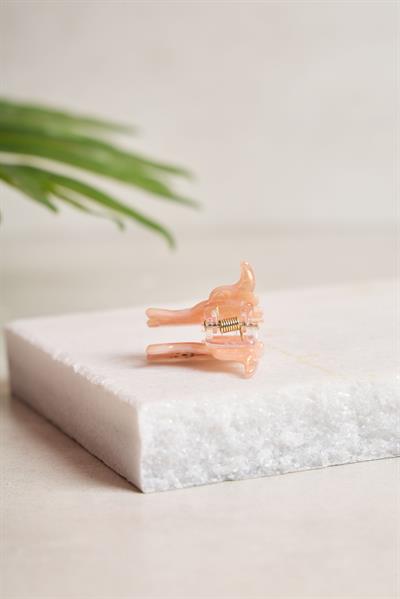 Mini Shiba Inu Kemik Toka