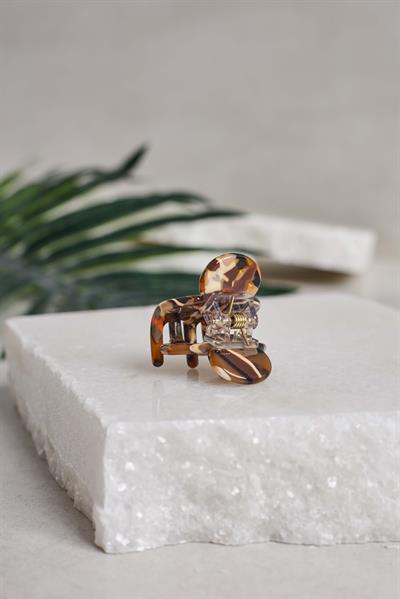 Mini Turtle Kemik Mandal