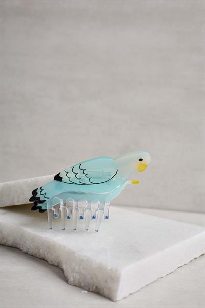 Muhabbet kuşu Mandal