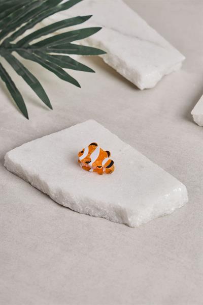 Nemo Mini Kemik Toka