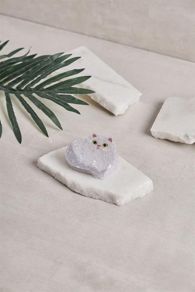 Pamuk Kedi Kemik Toka