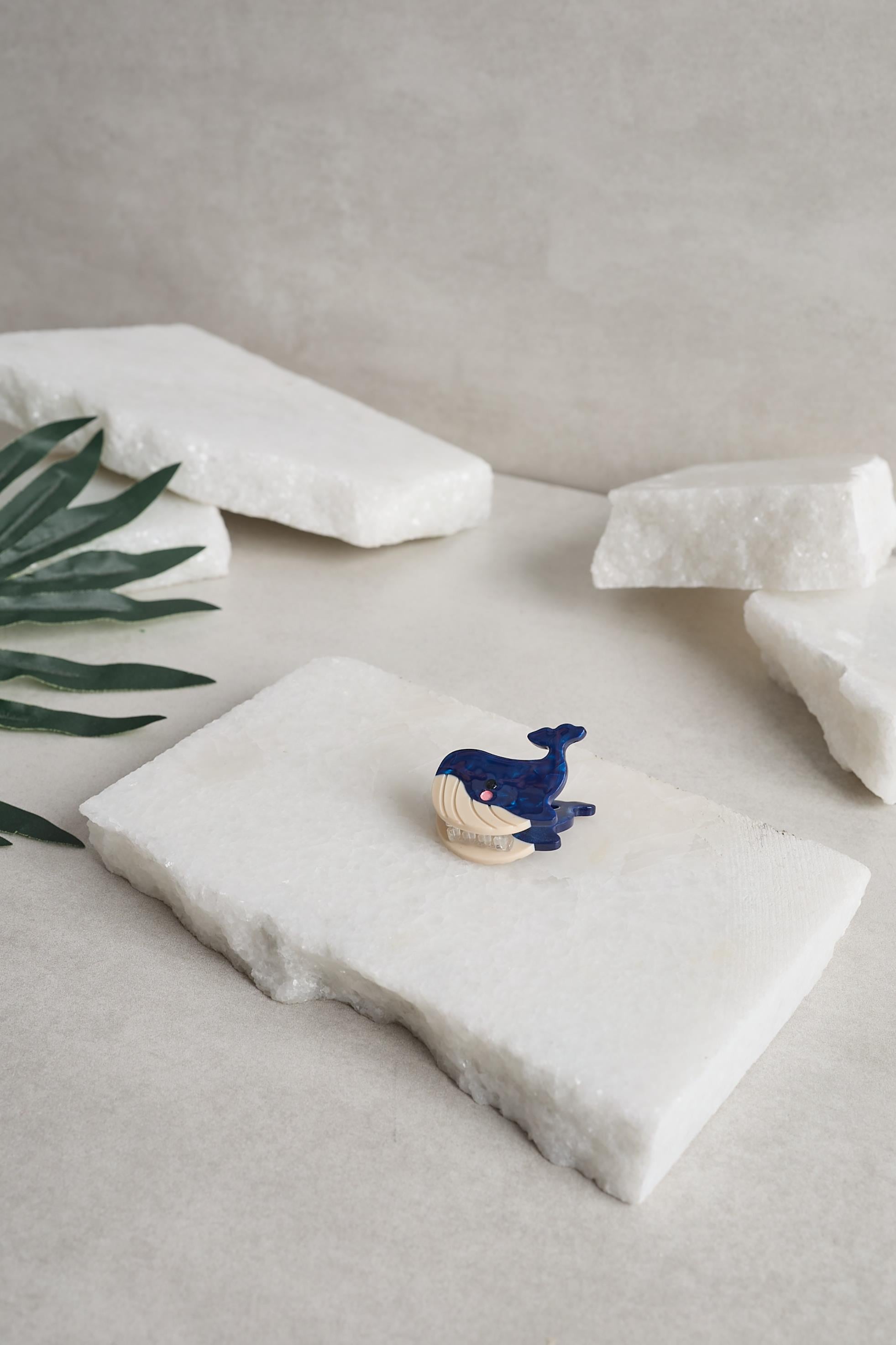 Balina Mini Kemik Toka