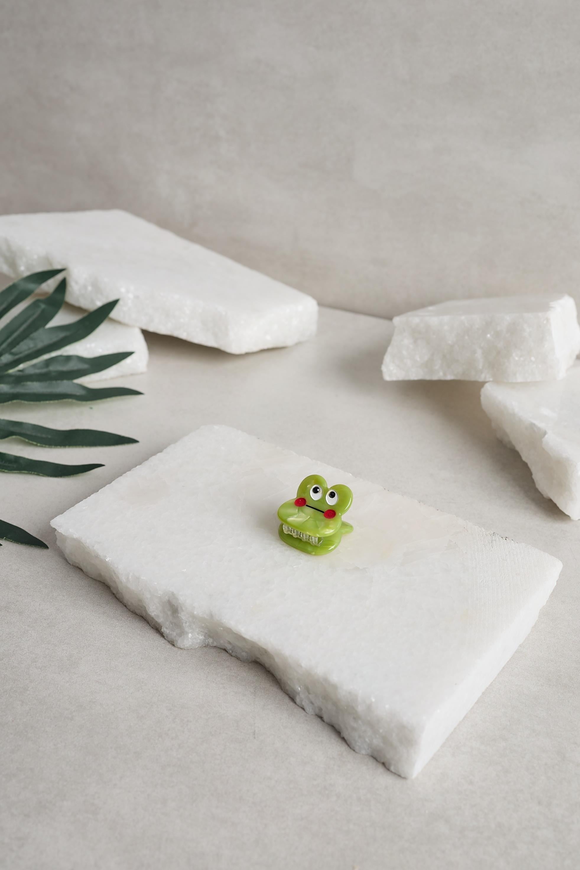 Kurbağa Mini Kemik Toka