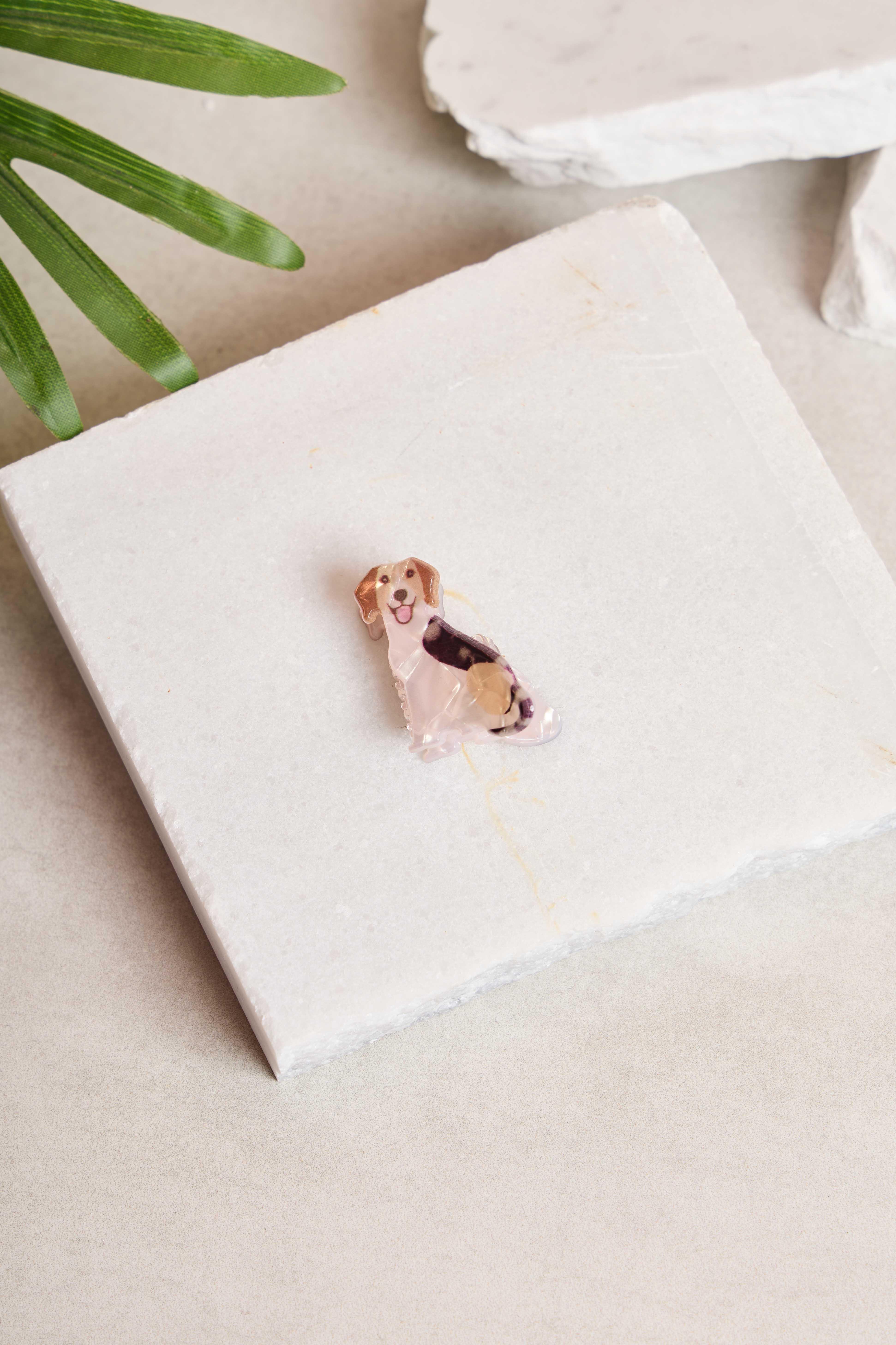 Mini Beagle Kemik Toka