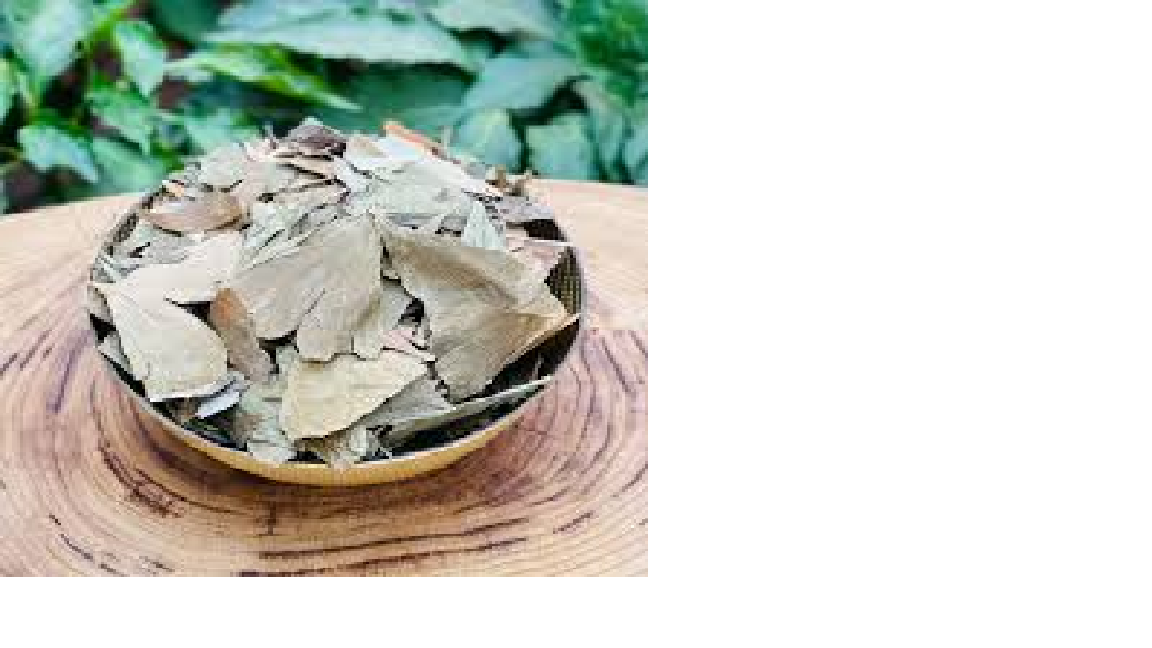 Gıngko Bıloba Yaprak 30 Gr.