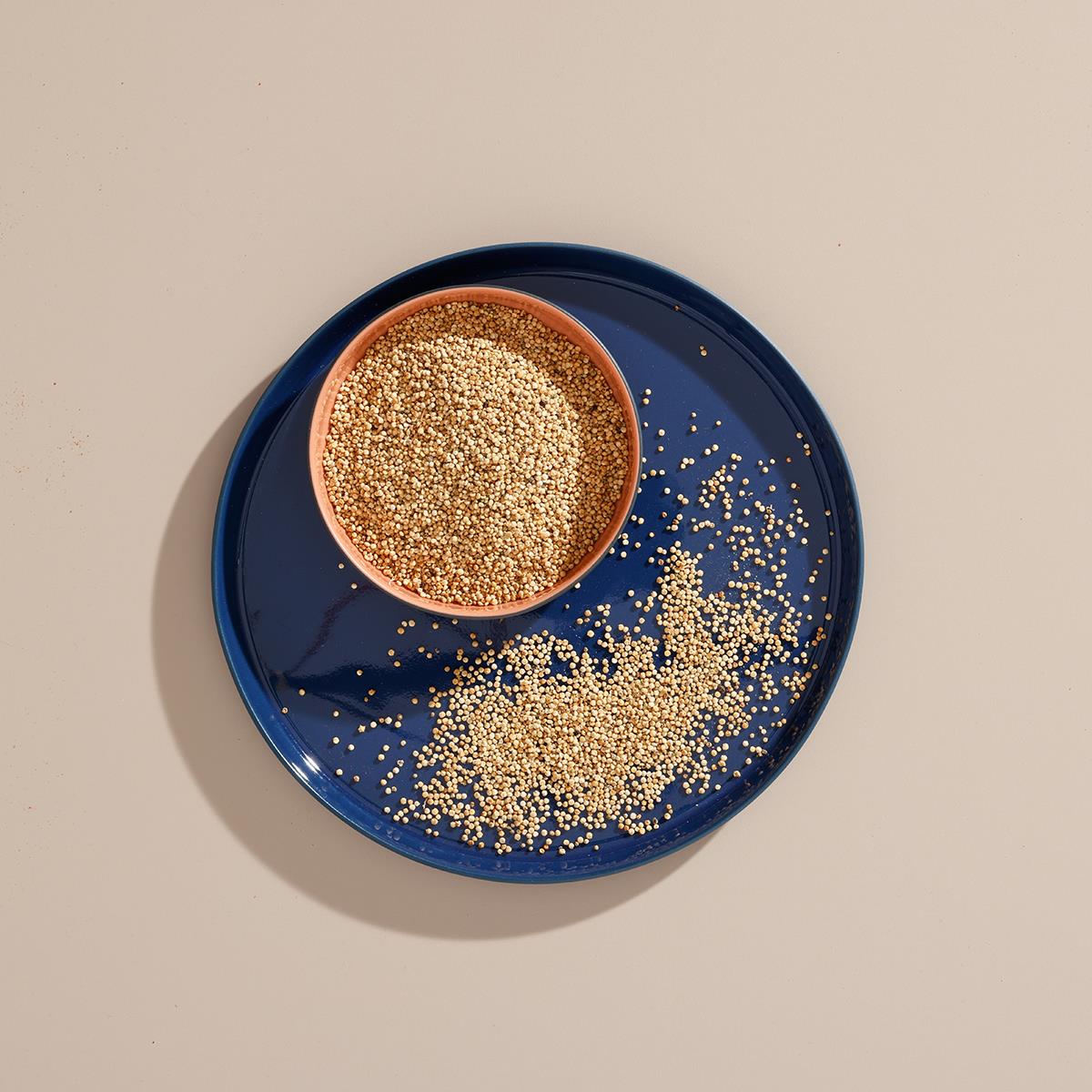 KİNOA TOHUMU AÇIK KG.