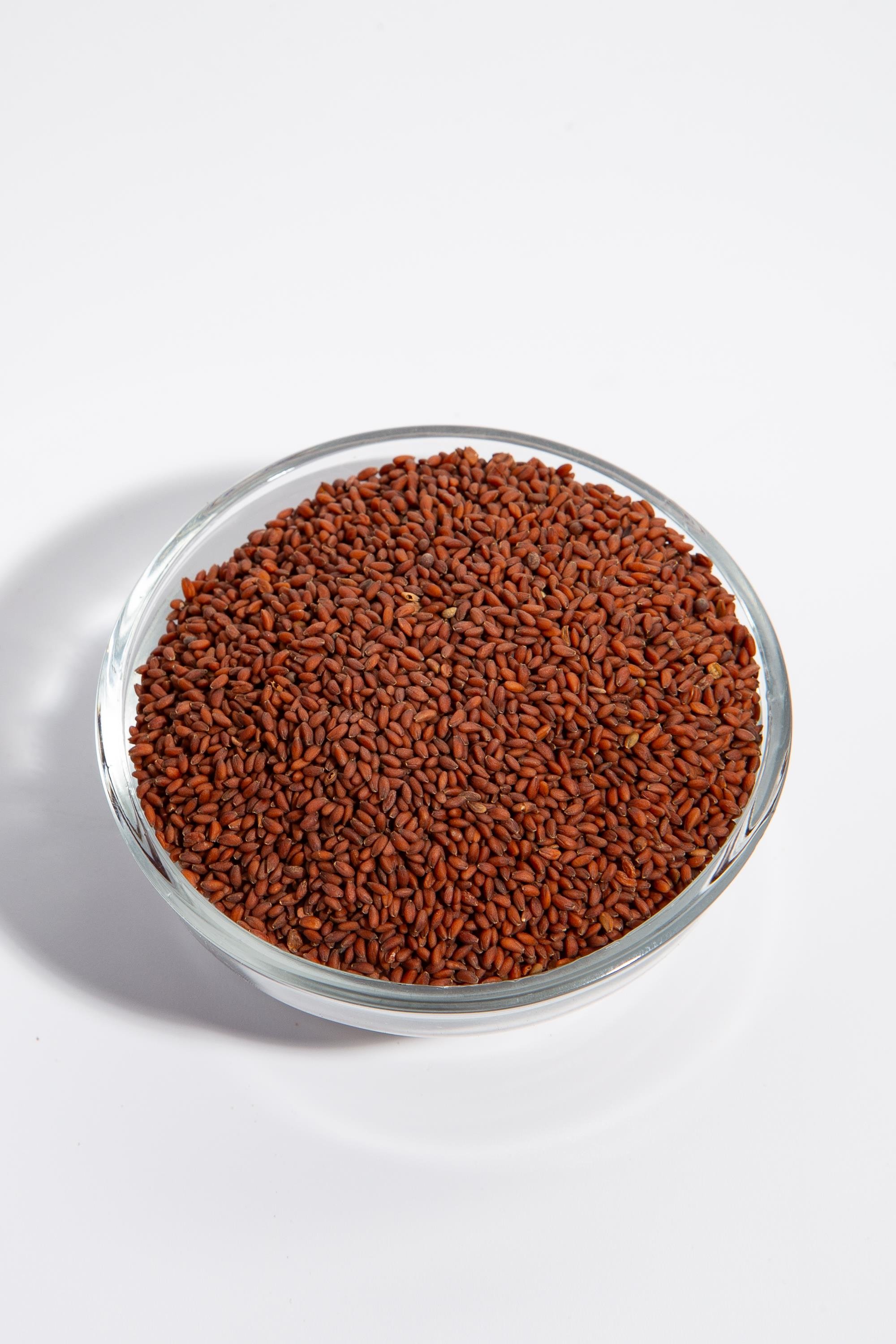 TERE TOHUMU AÇIK KG.