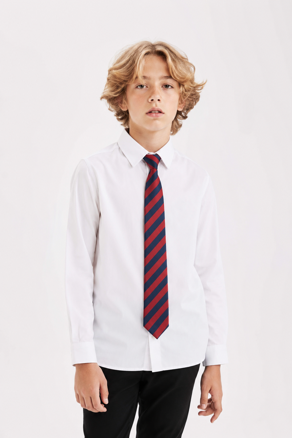 British Embassy School Tie