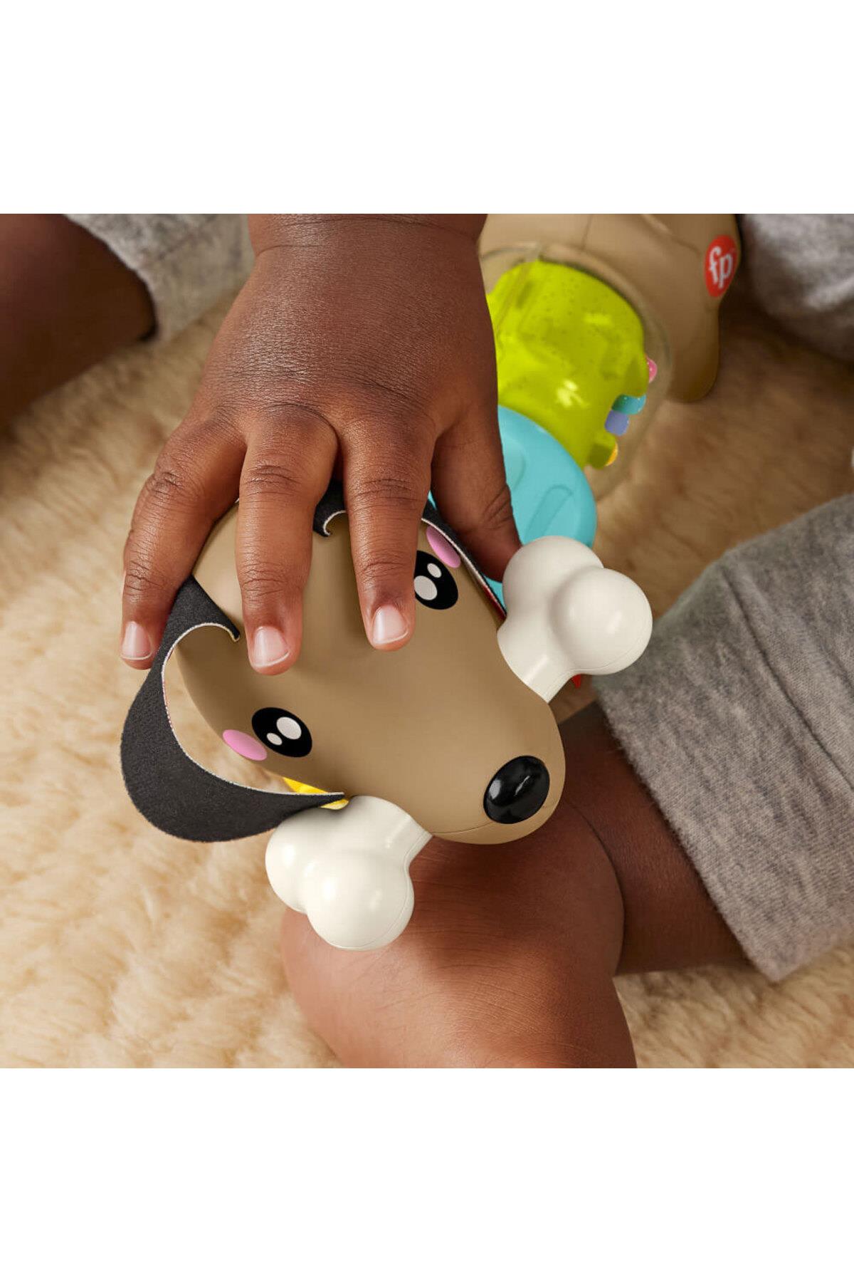 Fisher Köpekçikle Eğlenceli Aktivite HTW91