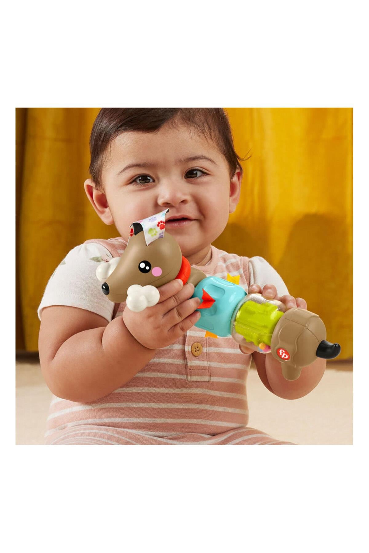 Fisher Köpekçikle Eğlenceli Aktivite HTW91