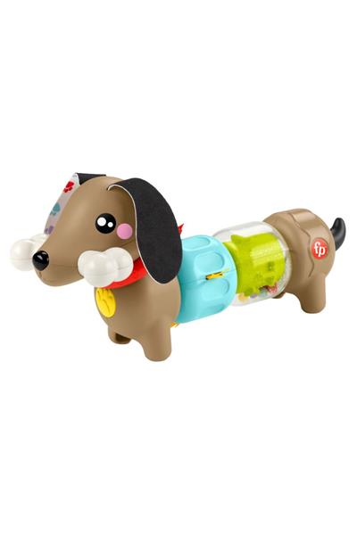 Fisher Köpekçikle Eğlenceli Aktivite HTW91
