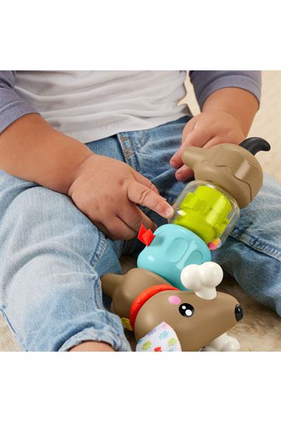Fisher Köpekçikle Eğlenceli Aktivite HTW91