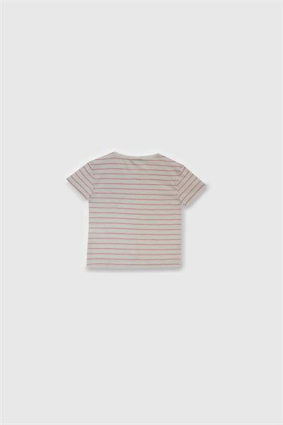United Colors of Benetton Kız Çocuk Tshirt G22038 4/14 Yaş