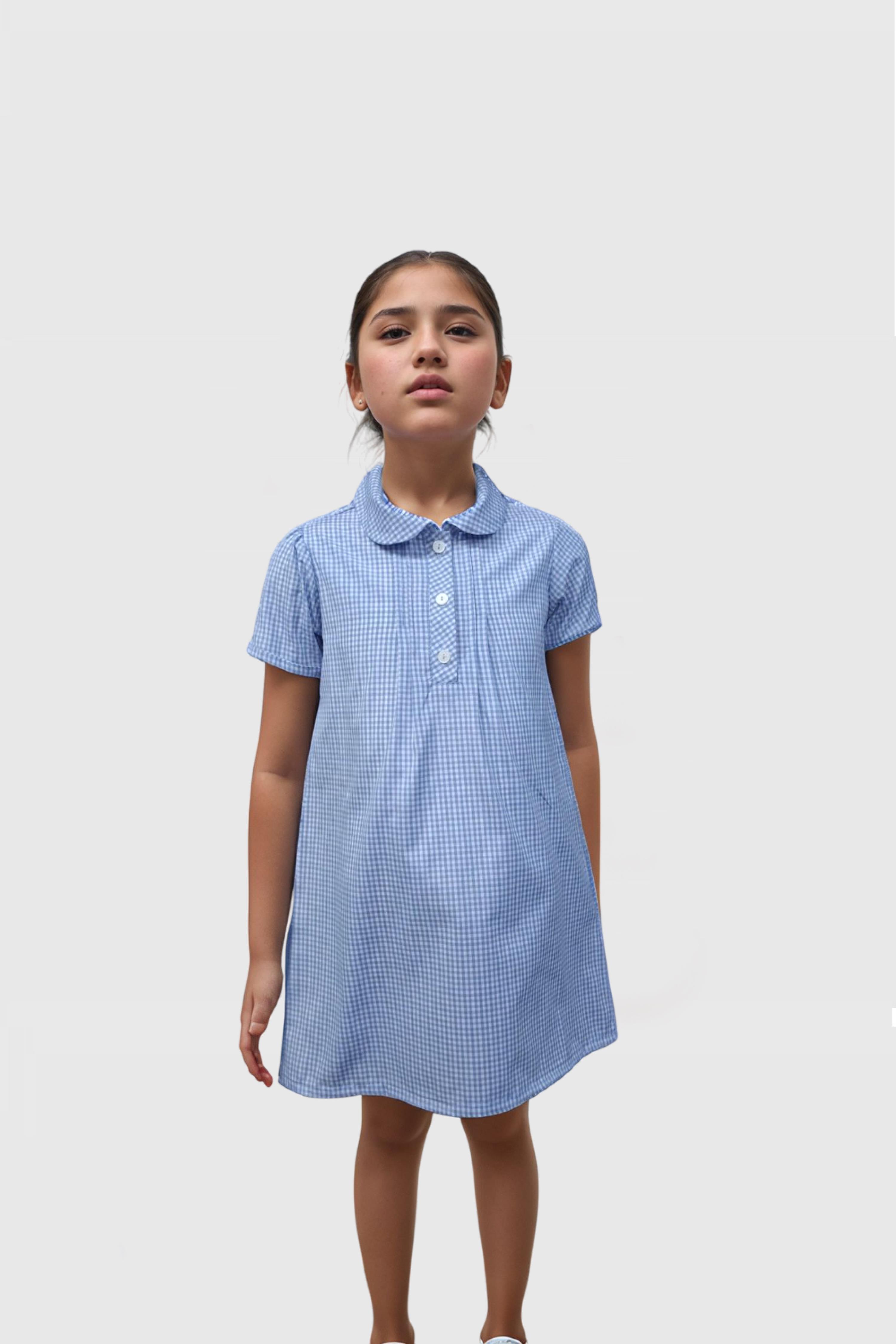 British Embassy School Checkered Dress