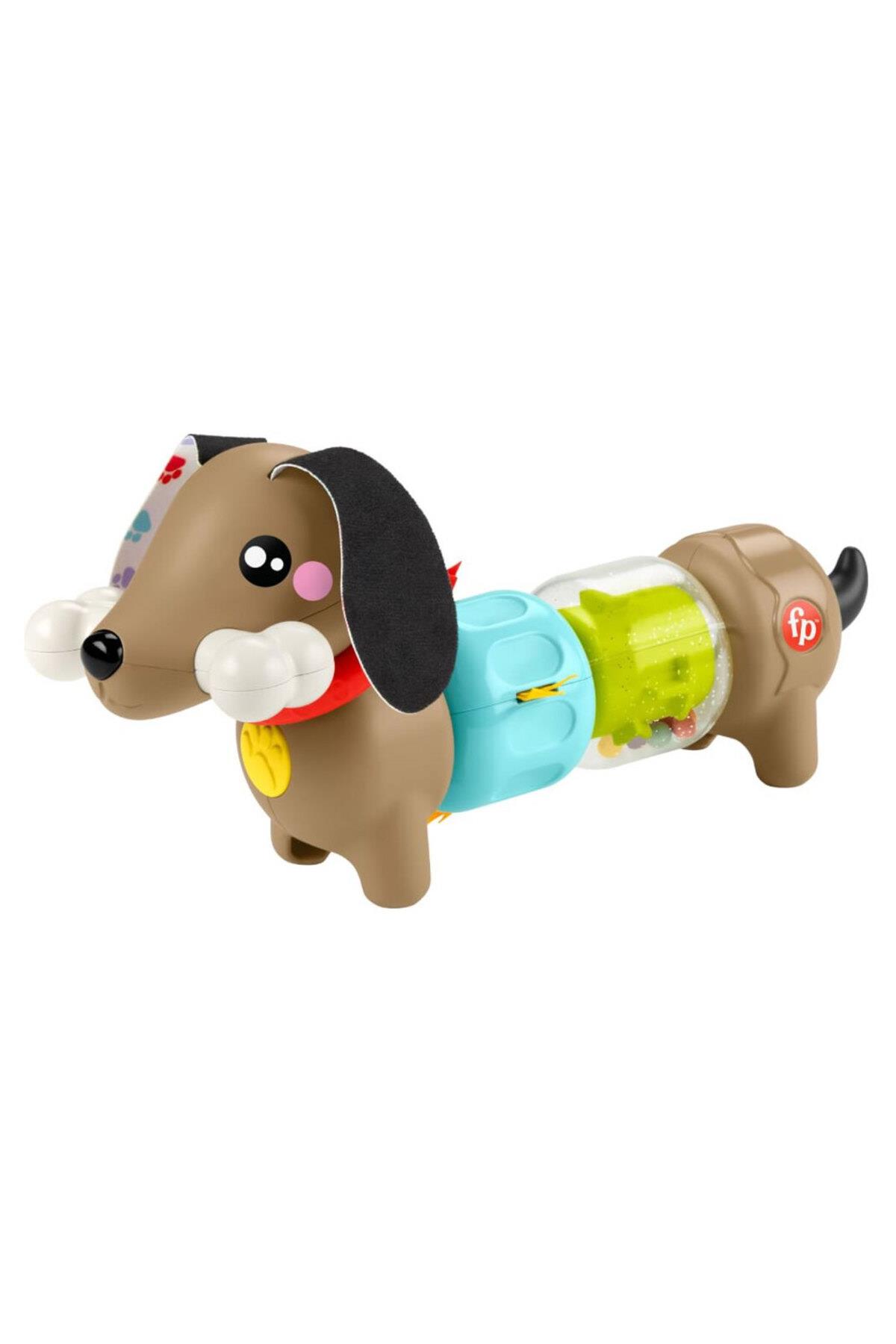 Mattel Fisher Köpekçikle Eğlenceli Aktivite HTW91