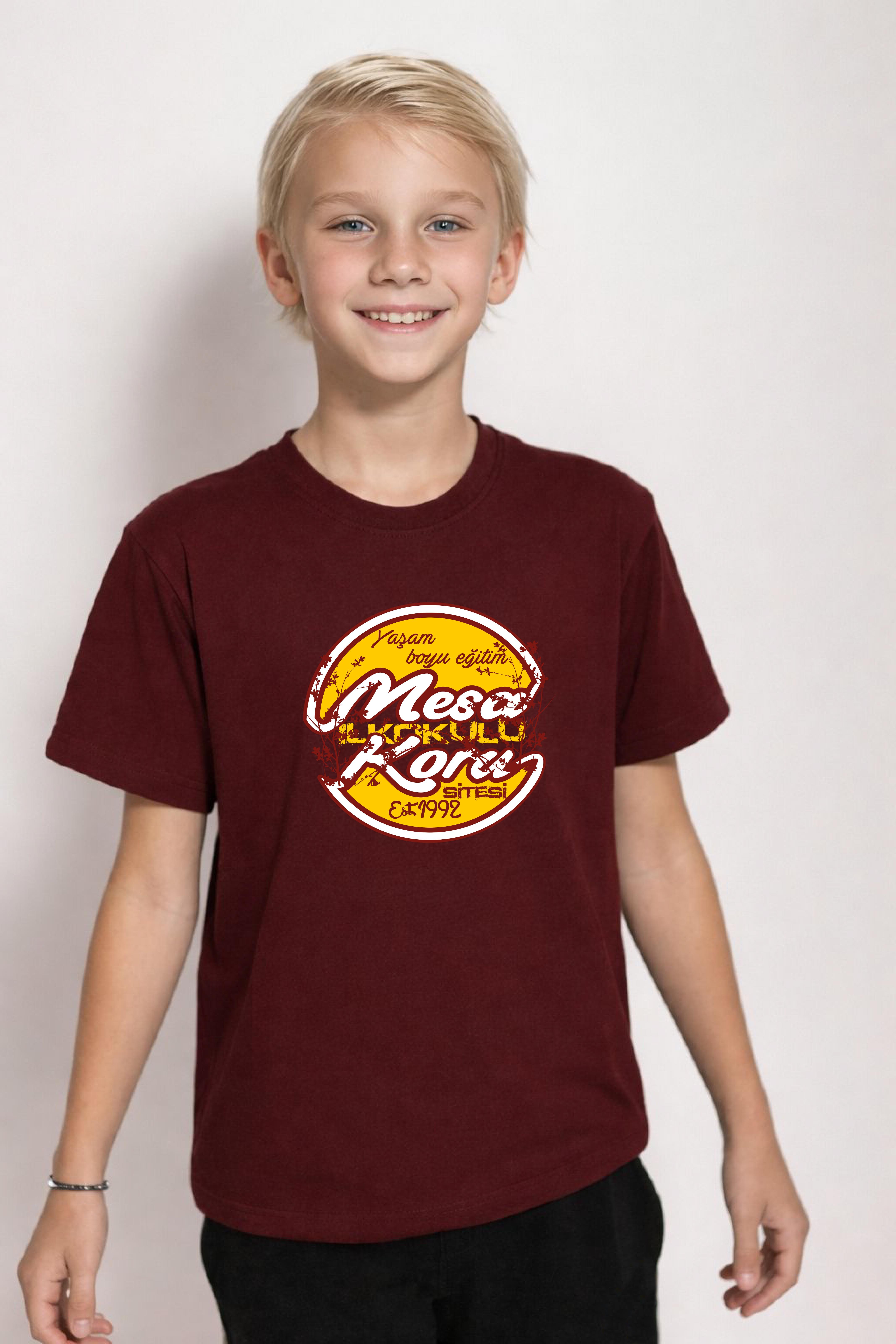 Mesa Koru İlkokulu Penye