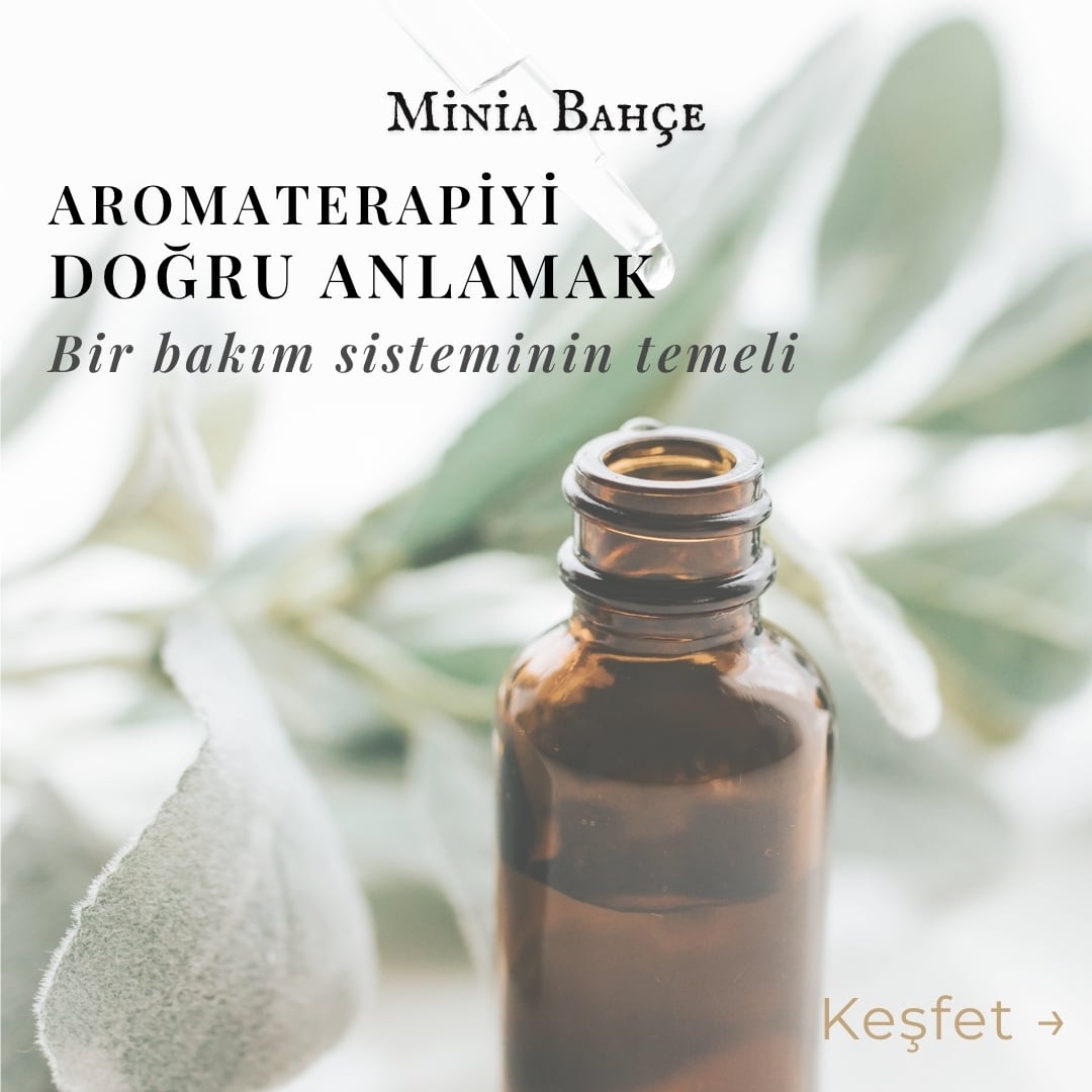 Aromaterapi ile cilt, saç ve zihinsel dengeyi destekleyen doğal bakım sistemi