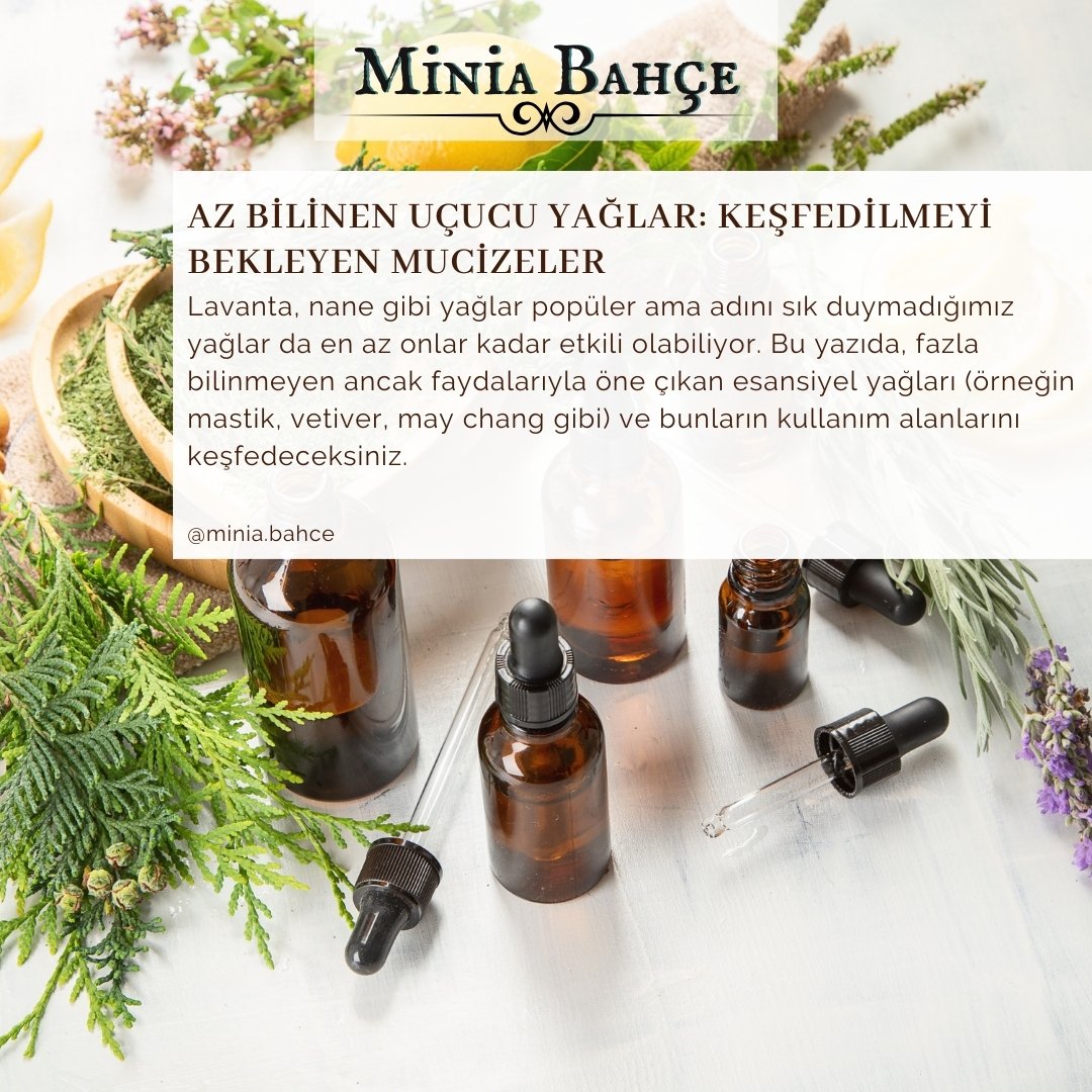 Az Bilinen Uçucu Yağlar
