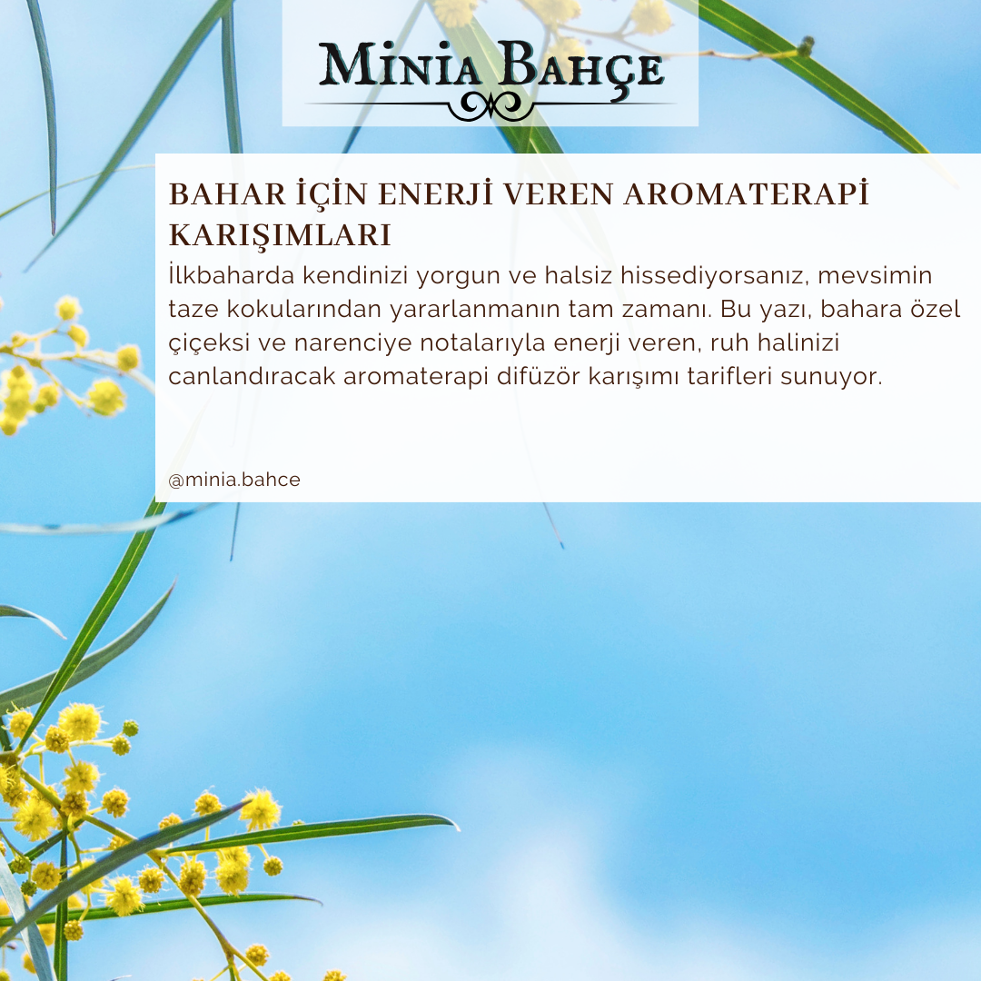 Bahar Enerjisiyle Gelen Aromaterapi: Canlandırıcı Uçucu Yağ Karışımları