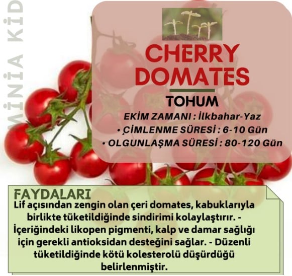 Cherry Domates Faydaları