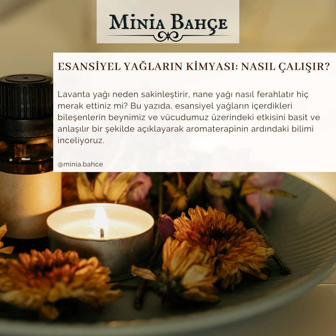 Esansiyel Yağların Kimyası