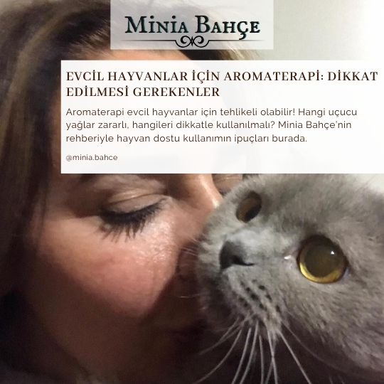 minnoşum