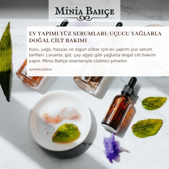 Yüz Serumu