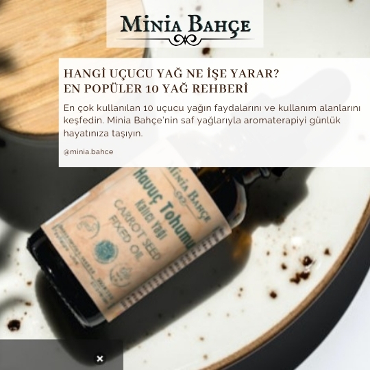 Hangi Uçucu Yağ Ne İşe Yarar? En Popüler 10 Yağ | Minia Bahçe