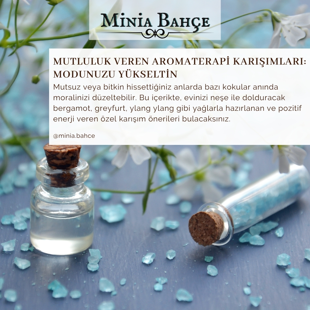 Mutluluk Veren Aromaterapi Karışımları – Pozitif Ruh Hali İçin Uçucu Yağ Tarifleri