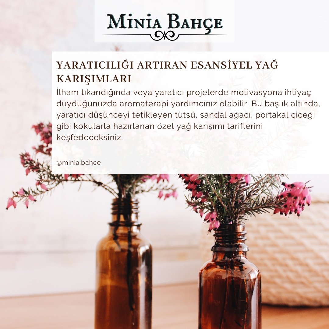 Yaratıcılığı Artıran Esansiyel Yağ Karışımları