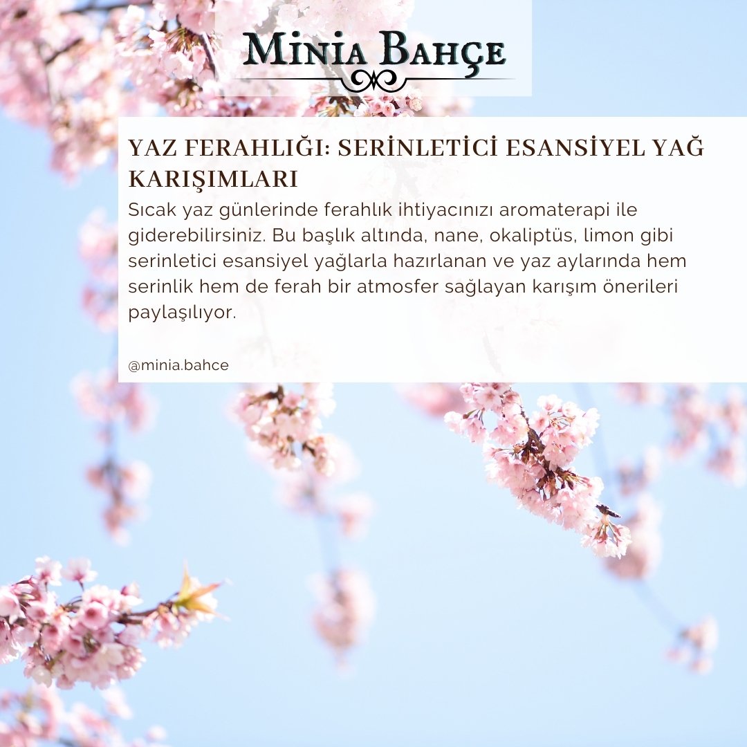 Yaz Ferahlığı: Serinletici Aromaterapi Yağ Karışımları | Minia Bahçe
