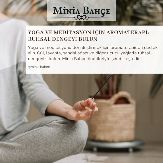 Yoga ve Meditasyon
