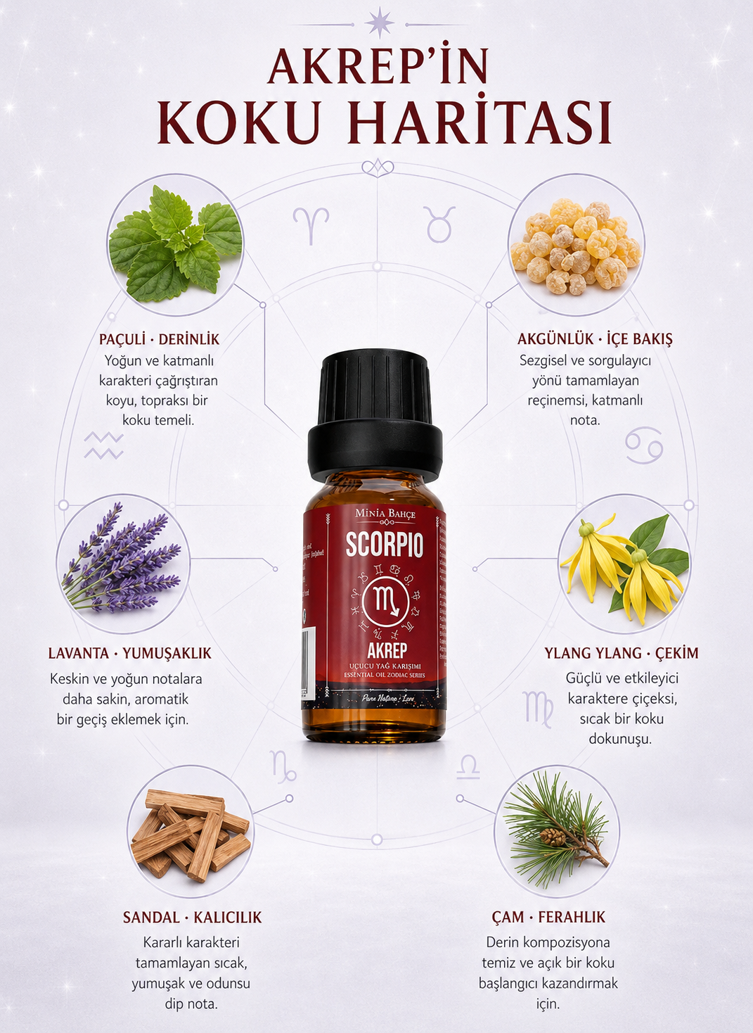 Akrep Burcu Uçucu Yağ Karışımı – Paçuli, Akgünlük, Ylang Ylang, Lavanta, Sandal Ağacı ve Çam Uçucu Yağları, 10 ml