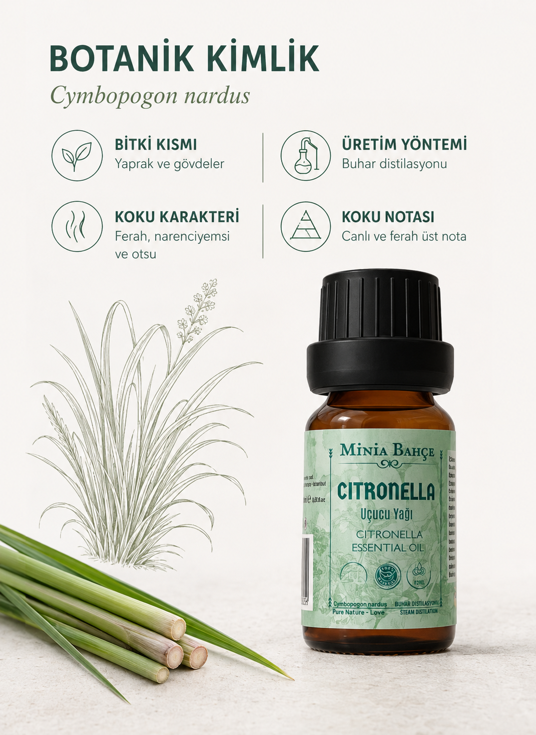 Citronella Uçucu Yağı – 10 ml | Saf ve Katkısız Bitkisel Uçucu Yağ