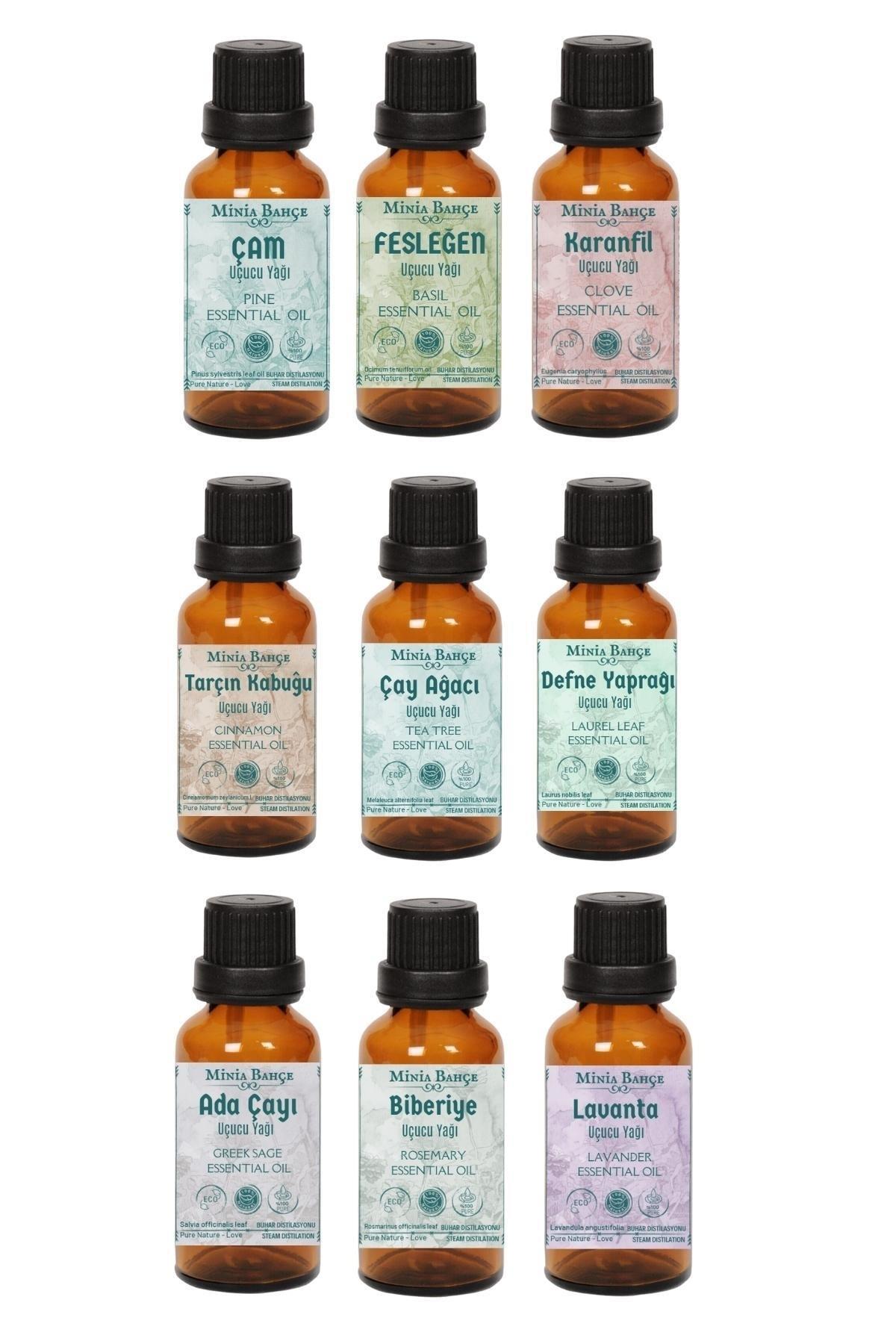 Uçucu Yağ Seti, Çam-fesleğen-karanfil-tarçın-çay Ağacı-defne Yap.-adaçayı-biberiye-lavanta Yağı,90ml