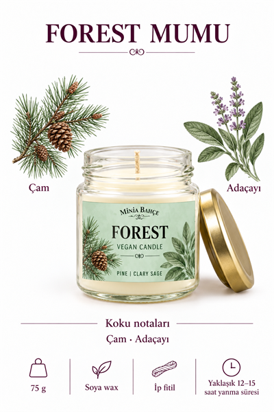 FOREST – ÇAM VE ADAÇAYI KOKULU SOYA MUMU – 75 GR