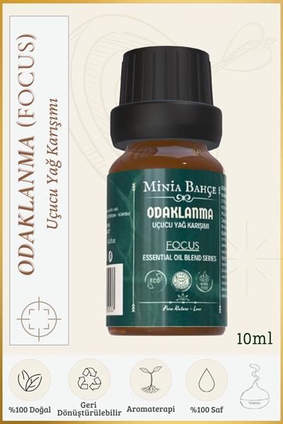 Odaklanma (Focus) Uçucu Yağ Karışımı - Özel Seri 10 ml