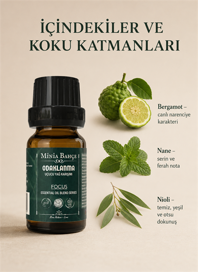 Odaklanma (Focus) Uçucu Yağ Karışımı – 10 ml 