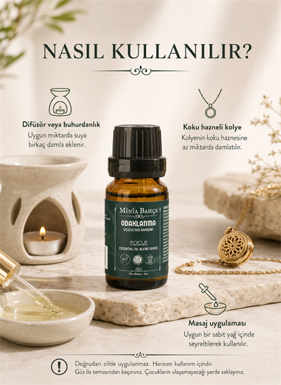 Odaklanma (Focus) Uçucu Yağ Karışımı – 10 ml 