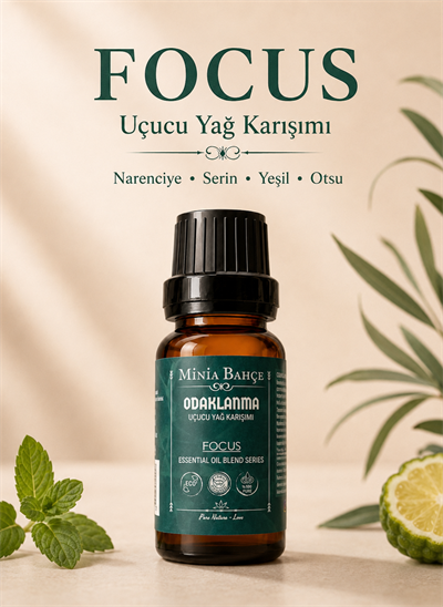 Odaklanma (Focus) Uçucu Yağ Karışımı - Özel Seri 10 ml