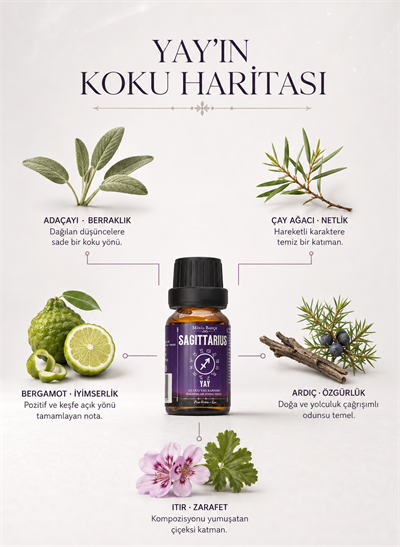 Yay Burcu Uçucu Yağ Karışımı – Adaçayı, Çay Ağacı, Bergamot, Ardıç ve Itır Uçucu Yağları, 10 ml