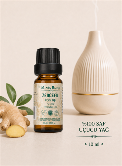 Zencefil Uçucu Yağı – 10 ml | Saf ve Katkısız Bitkisel Uçucu Yağ