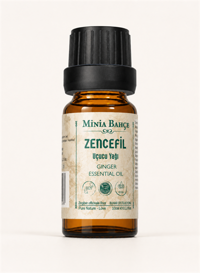 Zencefil Uçucu Yağı – 10 ml | Saf ve Katkısız Bitkisel Uçucu Yağ