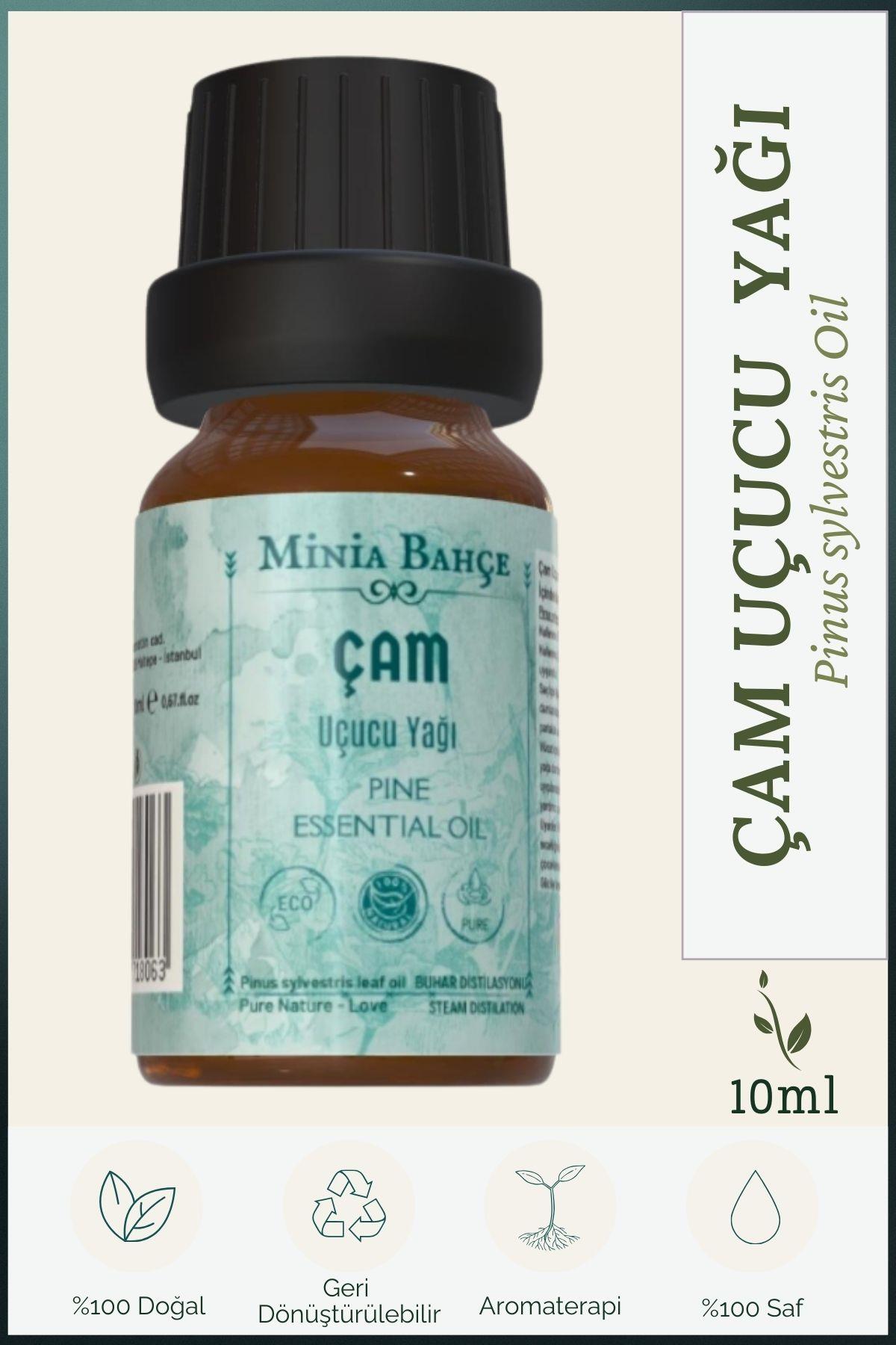 Çam Ağacı Uçucu Yağı %100 Saf - 10 ml | Doğal Saç Bakımı ve Aromaterapi