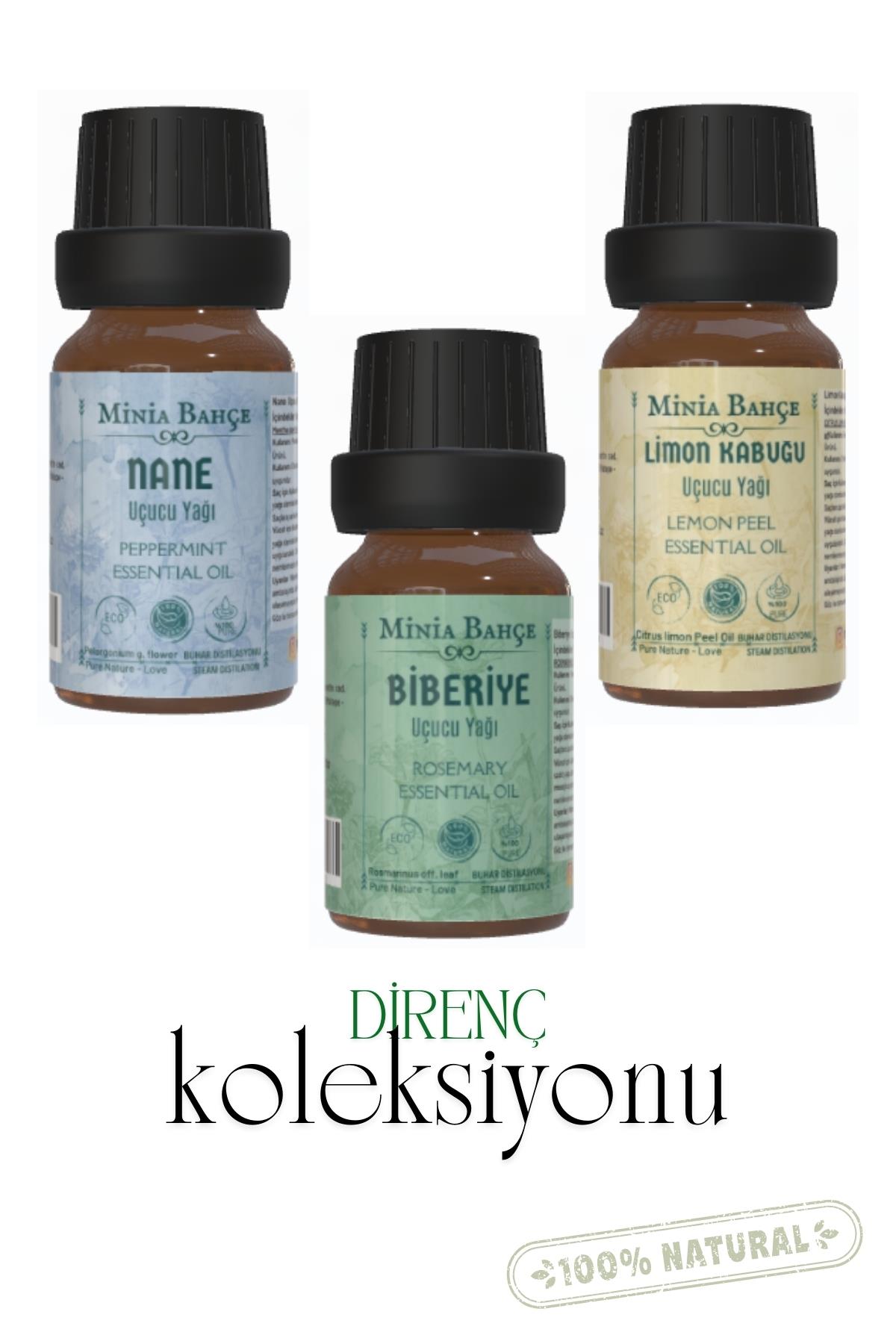 Nane Yağı 10ml, Limon Kabuğu Yağı 10ml, Biberiye Yağı 10ml