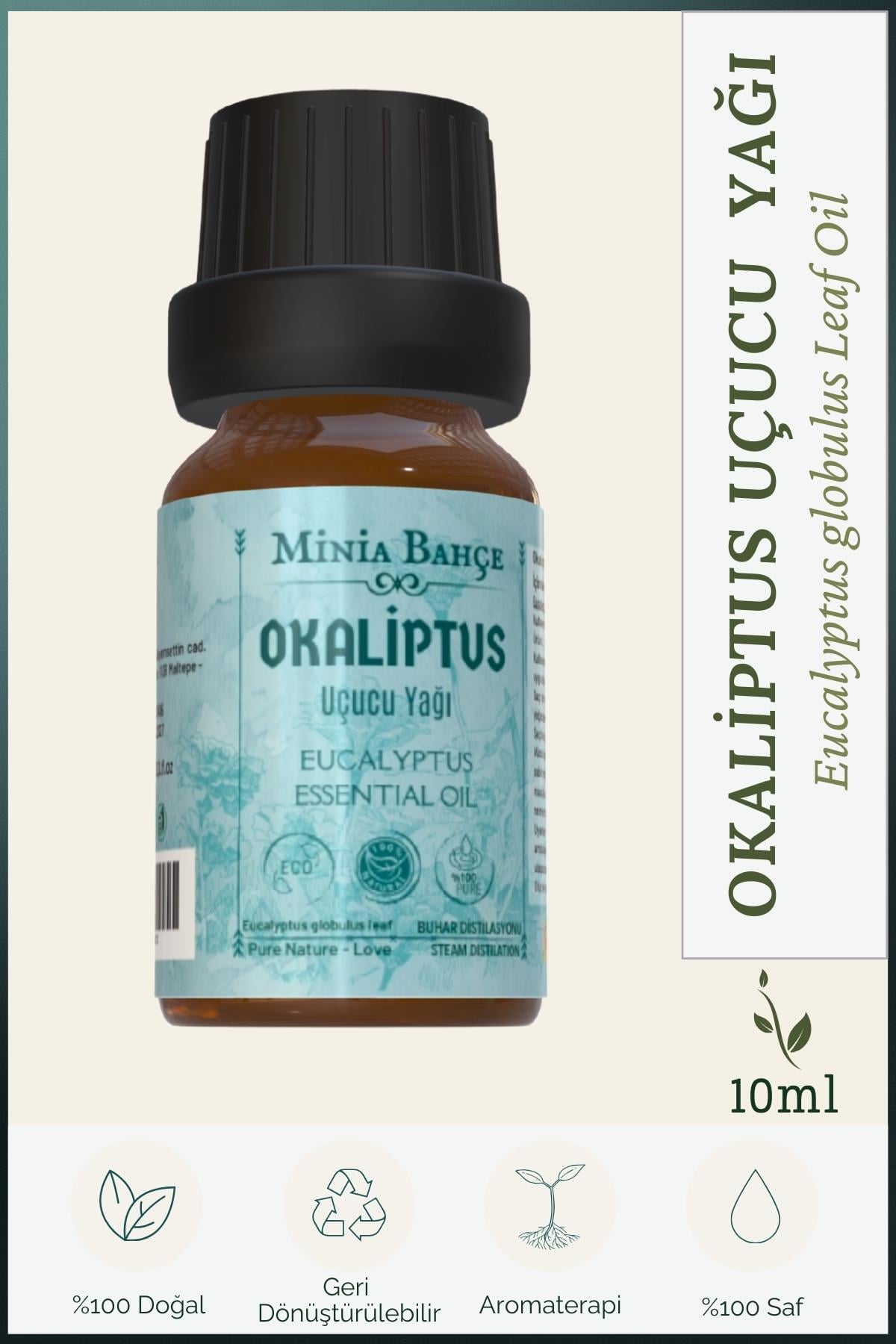 Okaliptüs Uçucu Yağı, %100 Saf ve Doğal. 10ml