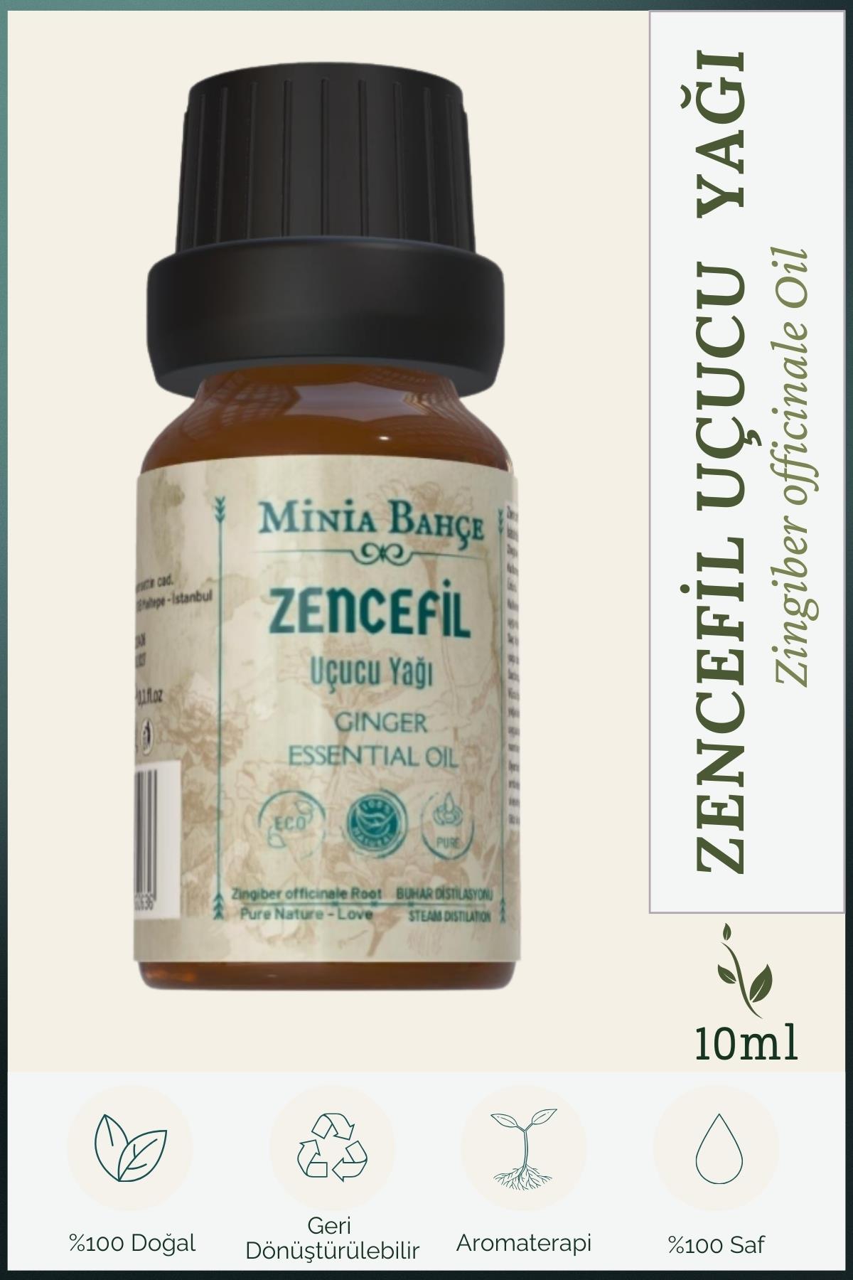 Zencefil Uçucu Yağı, %100 Saf, 10ml