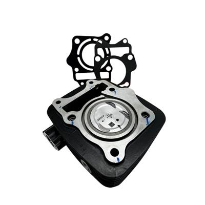 MSR Silindir Komple [OEM] - TVS Raider 125