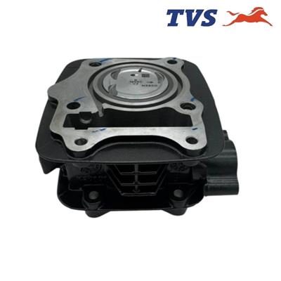 TVS Silindir Komple (N6321850) (Orjinal) - TVS Raider 125